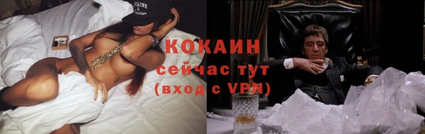 прущие грибы Нефтегорск