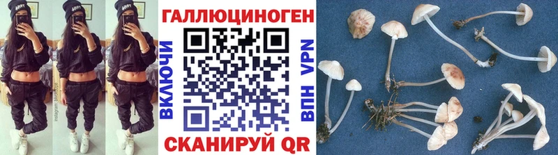 Галлюциногенные грибы GOLDEN TEACHER  Фёдоровский 